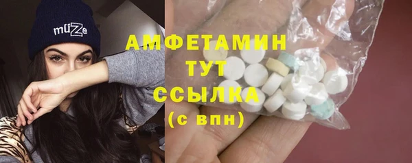 стафф Алзамай