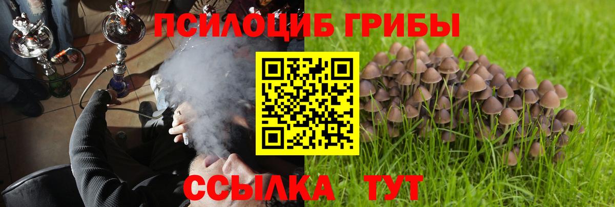 Галлюциногенные грибы Magic Shrooms  цена   Северодвинск  Вход с VPN 